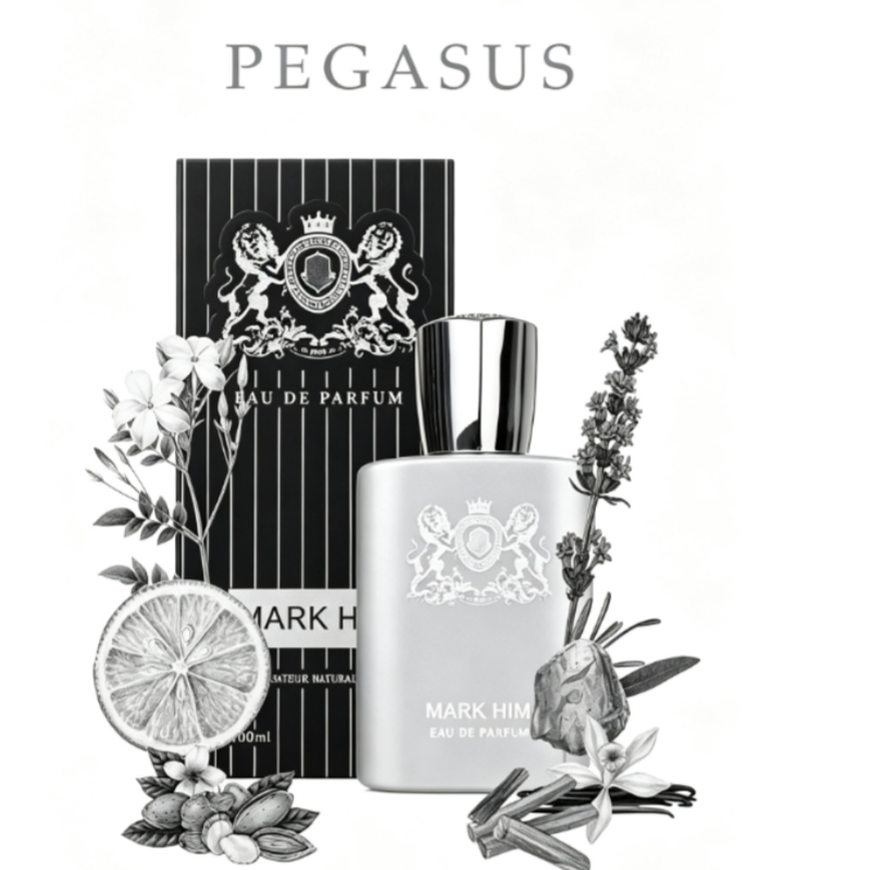 100ml MARK HIM Perfumy Męskie  – Perfume The Fragrance recenzja i cena