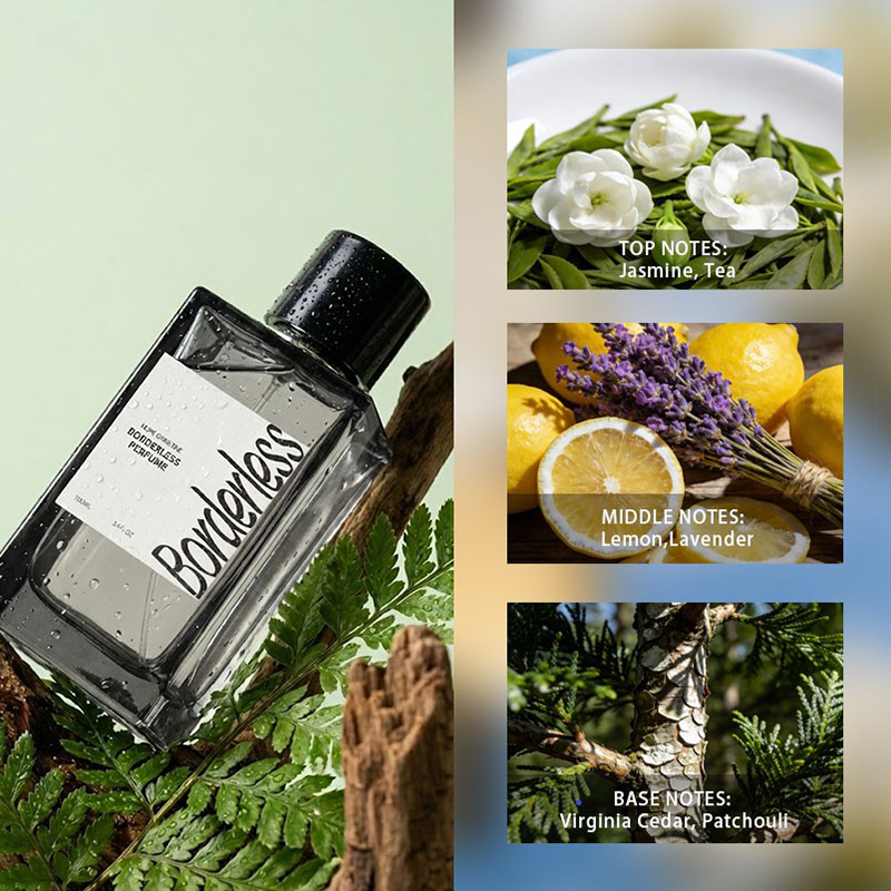 Luksusowy, bezbarierowy męski  – Perfume Lavender Fragrance recenzja i cena